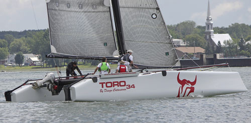 双体帆船 - TORO 34S - Design Catamaran Inc - 巡航竞赛 / 4铺位 / 牵引式