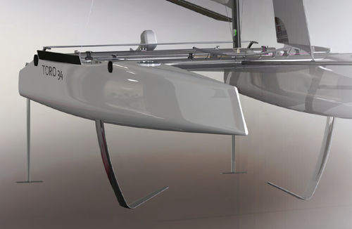 双体帆船 - TORO 34R - Design Catamaran Inc - 竞赛 / 4铺位 / 碳纤