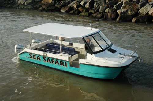 观光船专业船 - Free Spirit - Cheetah Marine - 双体船 / 舷外