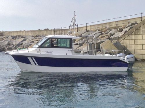 水文地理研究船专业船 - Cheetah Marine - 双体船 / 舷外 / 铝制