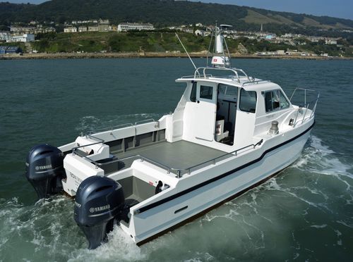 双体船休闲钓鱼船 - Bon Vivant - Cheetah Marine - 舷外 / 双引擎 / 封闭式驾驶舱