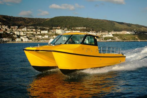 双体船休闲钓鱼船 - Spindrift Three - Cheetah Marine - 舷外 / 双引擎 / 硬顶