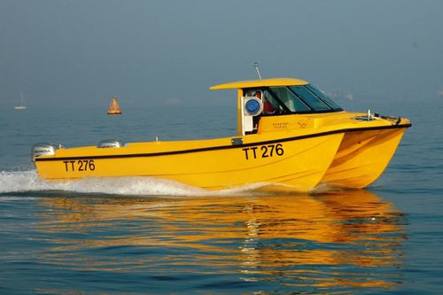 双体船休闲钓鱼船 - Pride N Joy - Cheetah Marine - 舷外 / 双引擎 / 硬顶
