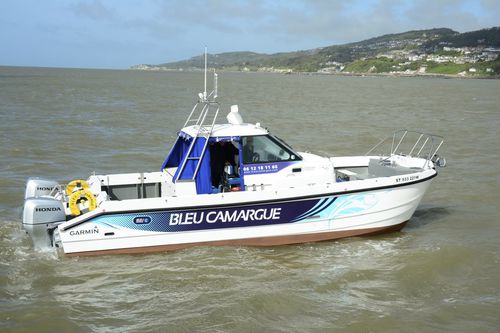 双体快艇 - Bleu Camargue - Cheetah Marine - 舷外 / 双引擎 / 封闭式驾驶舱