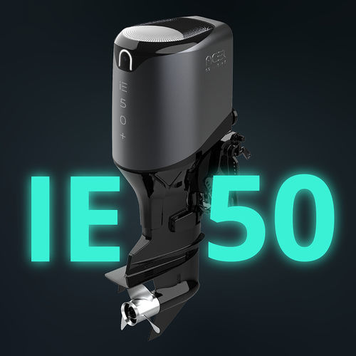 舷外发动机 - IE 50 - ACEL Power - 电动 / 游船 / 水冷