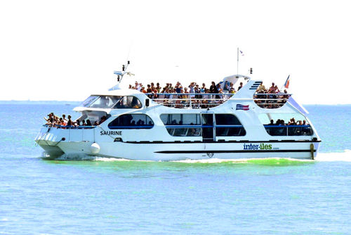 客船专业船 - SQUALTEC - 钢 / 铝制
