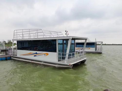 双体船船屋 - Changzhou Youbang Boat Co., Ltd. - 舷外 / 电动 / LPG