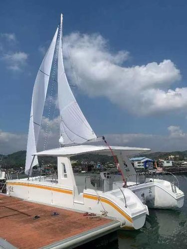 观光船专业船 - Changzhou Youbang Boat Co., Ltd. - 双体船 / 舷外