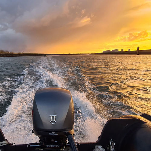 舷外发动机 - Dtorque 50  - Neander Marine SE - 柴油 / 游船 / 在线