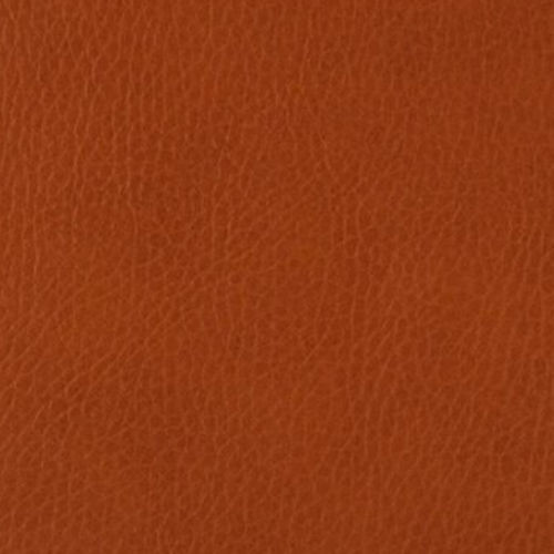 室内装饰船用面料 - Kenya - Mariano Farrugia - PVC / 皮质 / 棕色