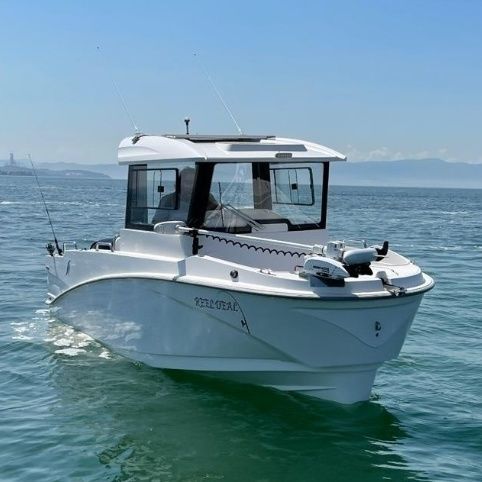 舷外休闲钓鱼船 - 22 FISHER - Driftmark Marine - 封闭式驾驶舱 / 休闲钓鱼 / 巡游