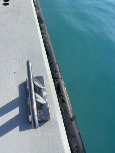 海港护舷 - DDRubber - Marinova Floating Systems B.V. - 船用 / 浮桥船用 / 用于港口