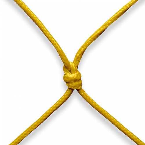 捕捞网用缆绳 - Force-Tech - COTESI Companhia de Têxteis Sintéticos S.A  - 单股编织 / 专业捕鱼船用 / 超高分子量聚乙烯内芯