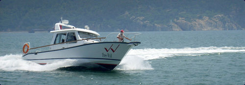 舷外快艇 - aurora (dalian) yachts co ltd - 双引擎 / 封闭式驾驶舱 / 钓鱼运动