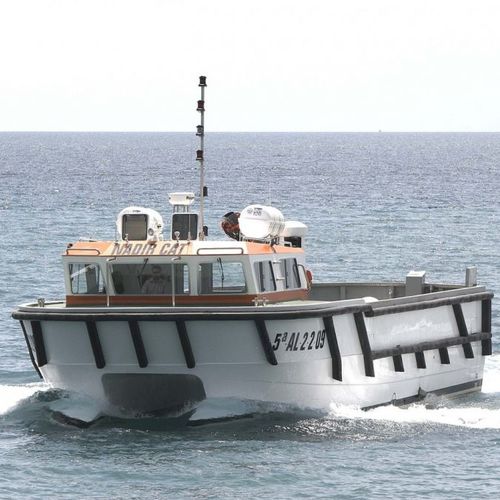 载人交通船专业船 - 2000 - 1600 FCAT - ARESA SHIPYARD - 双体船 / 舷内 / GRP
