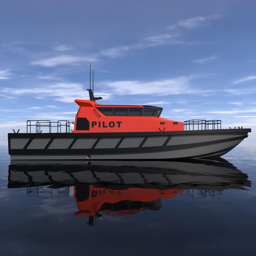 领航船专业船 - 1900  - ARESA SHIPYARD - 舷内 / GRP