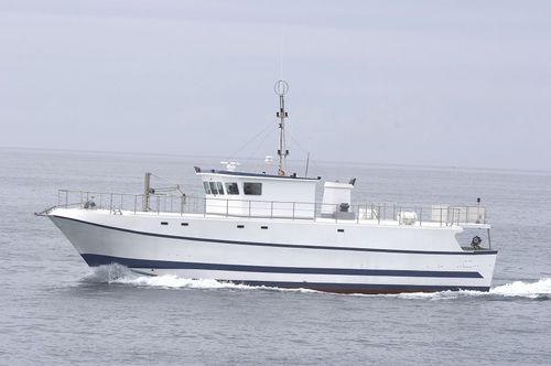 延绳钓渔船专业渔船 - 3500 - 2500 SL - ARESA SHIPYARD