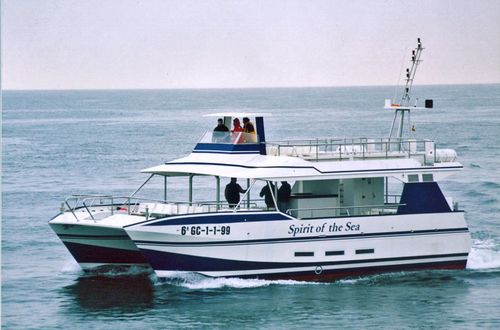 观光船专业船 - SPIRIT OF THE SEA  - Drassanes Dalmau, S.A - 双体船 / 舷内