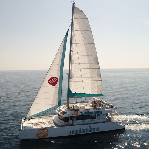 客船专业船 - MUNDO MARINO ECO - Drassanes Dalmau, S.A - 双体船 / 油电混合动力 / 行动不便人士
