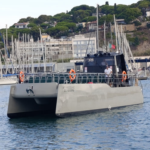 客船专业船 - SEAMYSTIC - Drassanes Dalmau, S.A - 双体船 / 舷内
