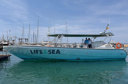 客船专业船 - POPEYE LIFEANDSEA - Drassanes Dalmau, S.A - 舷内 / 复合材料
