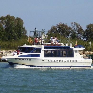 观光船专业船 - RIBERA D'EBRE  - Drassanes Dalmau, S.A - 舷内