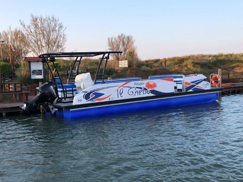 巡逻艇专业船 - Starlounger 10.0 - Swiss-Boats AG - 作业船 / 观光船 / 水上出租车