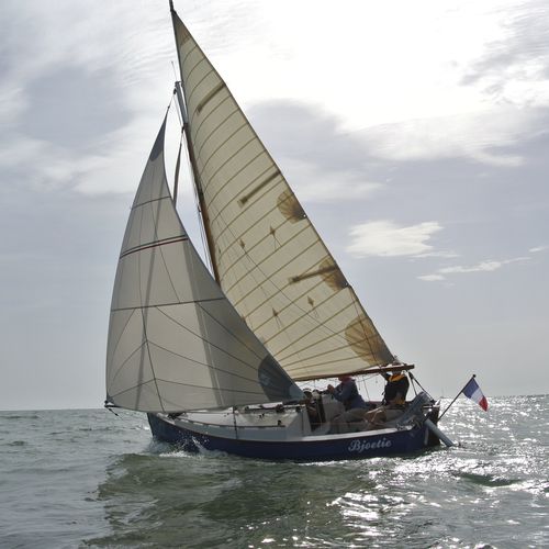 Code 0 等级 - ZADRO SAILS SAS - 巡游帆船用 / 三径向切割 / 带卷帆器