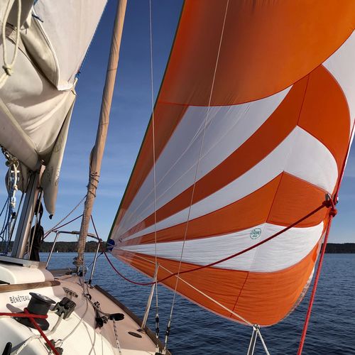 不对称大三角帆 - ZADRO SAILS SAS - 巡游帆船用