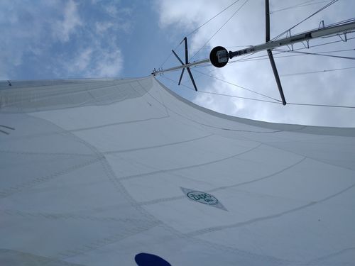 迎风三角帆 - ZADRO SAILS SAS - 巡游帆船用
