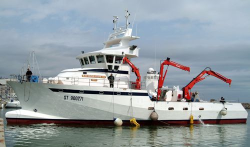 金枪鱼捕捞船专业渔船 - ST 900271 - MARTINEZ CONSTRUCTIONS NAVALES - 聚酯