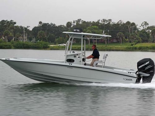巡逻艇专业船 - 250 GUARDIAN - Brunswick Commercial and Government Products - 舷外 / 玻璃纤维