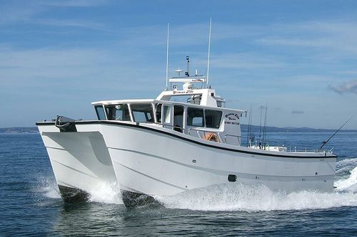 专业捕鱼船专业船 - Crimson Tide - Catapult Catamarans Marine Projects Ltd - 双体船 / 舷内