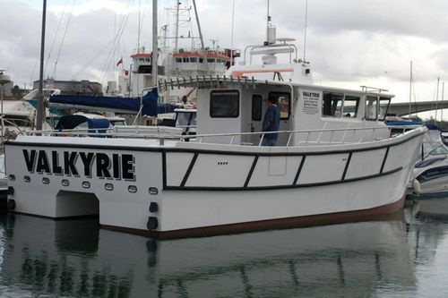 专业捕鱼船专业船 - Valkyrie - Catapult Catamarans Marine Projects Ltd - 双体船 / 舷内