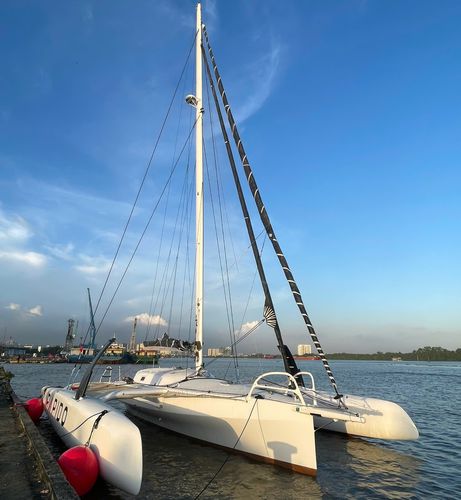 三体帆船 - Rapido 40 Racer - Rapido Trimarans - 竞赛 / 补助帆桁