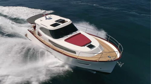 舷内快艇 - Issa 45 - Monachus Yachts - 双引擎 / 硬顶 / 快速