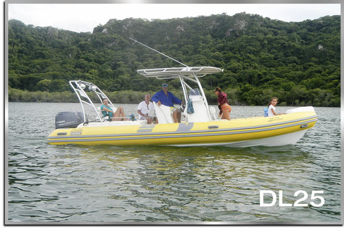舷外充气艇 - DL25 - Make Sense Marine Corp DBA Caribe Nautica - 中央控制台 / 最多容纳 16 人 / T形顶篷