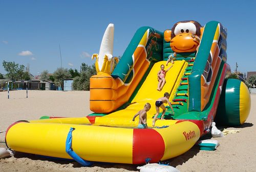 滑梯水上玩具 - Monkey  - Vector Inflatables - 用于水上乐园 / 充气式