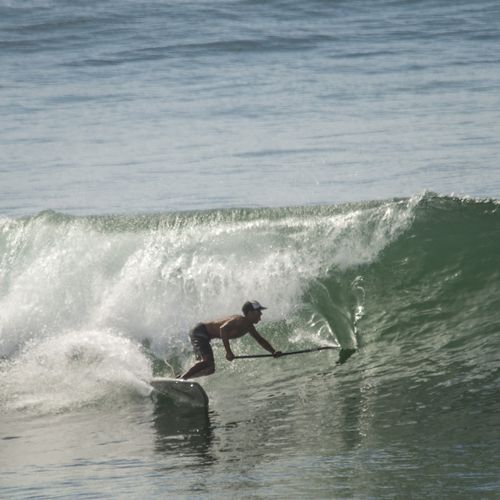 冲浪SUP - 8'1 - Indiana Paddle & Surf - 环氧 / 泡沫 / 碳纤