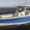 中央控制台敞开艇290 OUTRAGEBoston Whaler