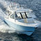 舷外小快艇DC 286Pursuit Boats