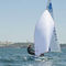 双人帆艇CASCAIS Laser Performance