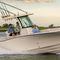 舷外敞开艇Canyon 266Grady-White