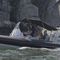 舷外充气艇SP 600Highfield boats