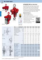 Air chain hoist