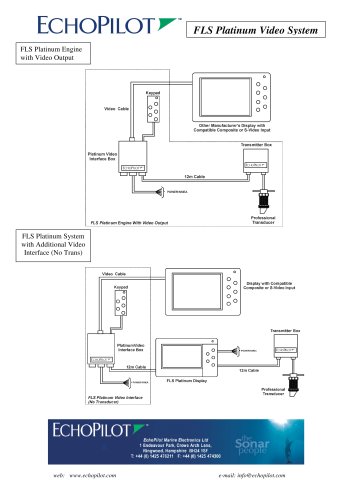 Platinum Video System Options