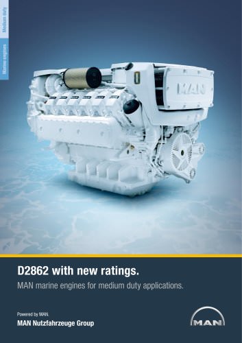 Marine engine D2862 - medium duty