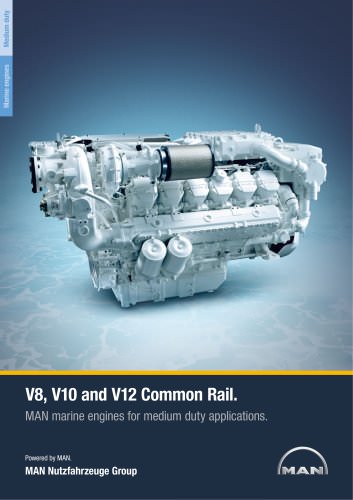 Marine engine V8-V10-V12 - medium duty