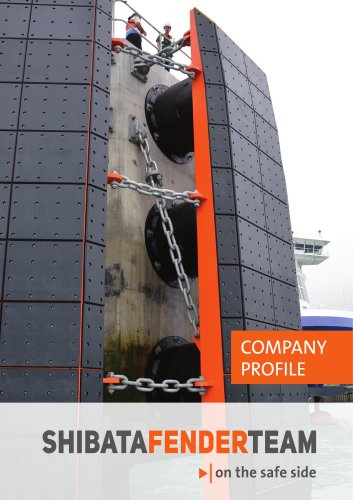 Company Profile