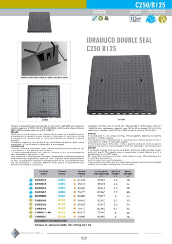 IDRAULICO DOUBLE SEAL C250 B125